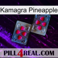 Kamagra Pineapple 15